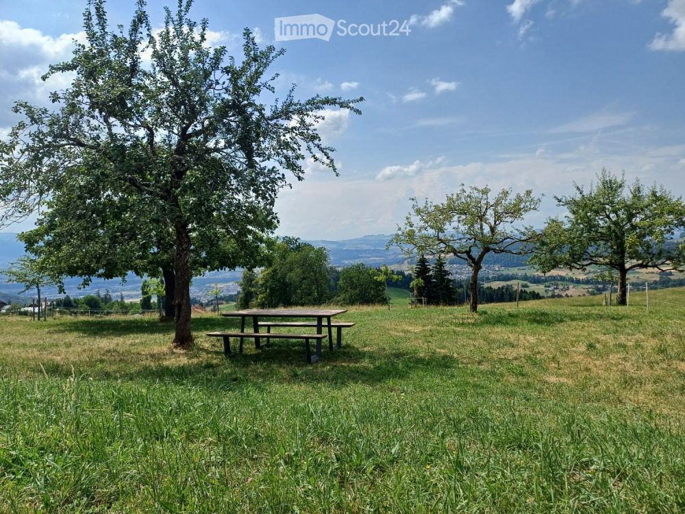 Moderne 3.5-Zimmer mit traumhafter Aussicht in Homberg b. Thun - Bild 6