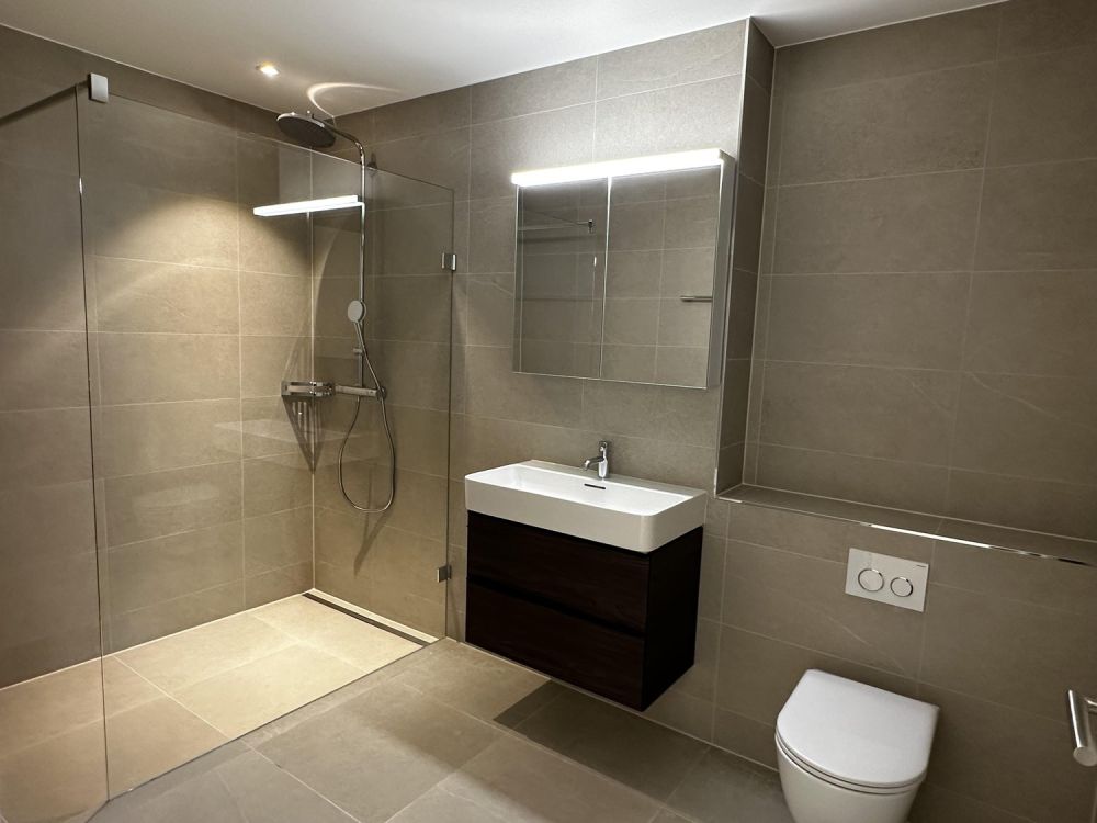 Erstvermietung - Tolle 4.5-Zimmer-Attikawohnung mit grosser Terrasse und Blick ins Grüne - Bild 8