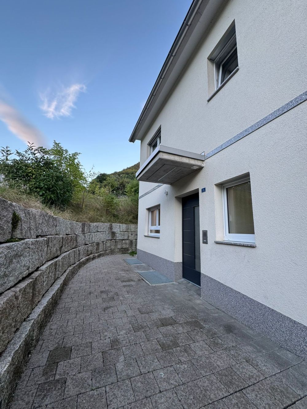 Grosszügiges modernes 5.5 Zimmer-Einfamilienhaus in Erschwil / SO - Bild 1