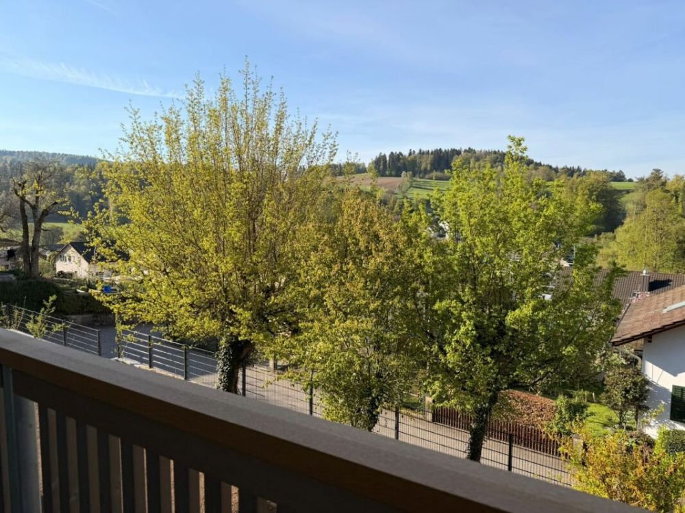 Erstbezug: sonnige 3.5 Zimmer-Wohnung mit Aussicht an ruhiger Lage - Aussicht vom grossen Balkon