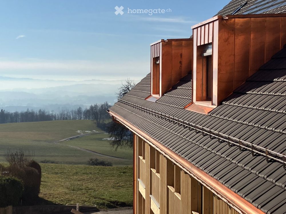 3.5-Zimmer-Gartenwohnung mit Panorama & Eigentumsstandard – naturnah wohnen in Wernetshausen - Bild 6