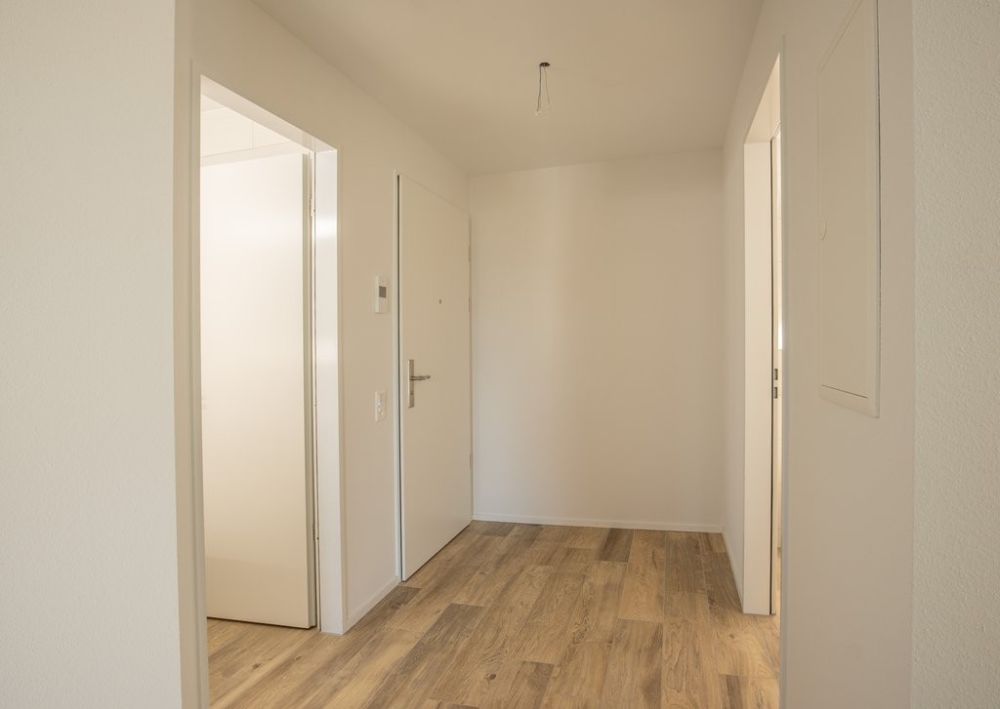Grosszügige, helle Wohnung mit Balkon und eigener Waschküche - Eingang