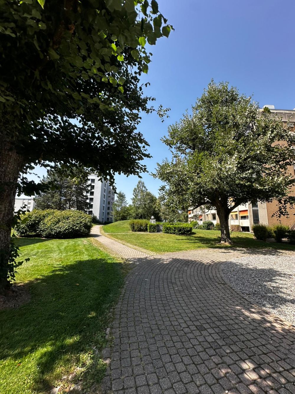Frisch sanierte 5-Zimmerwohnung im Hochparterre mit Balkon - Bild 11