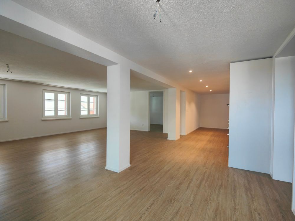 3.5 Zimmer-Wohnung mit einmaligem Charakter - Wohn- / Esszimmer