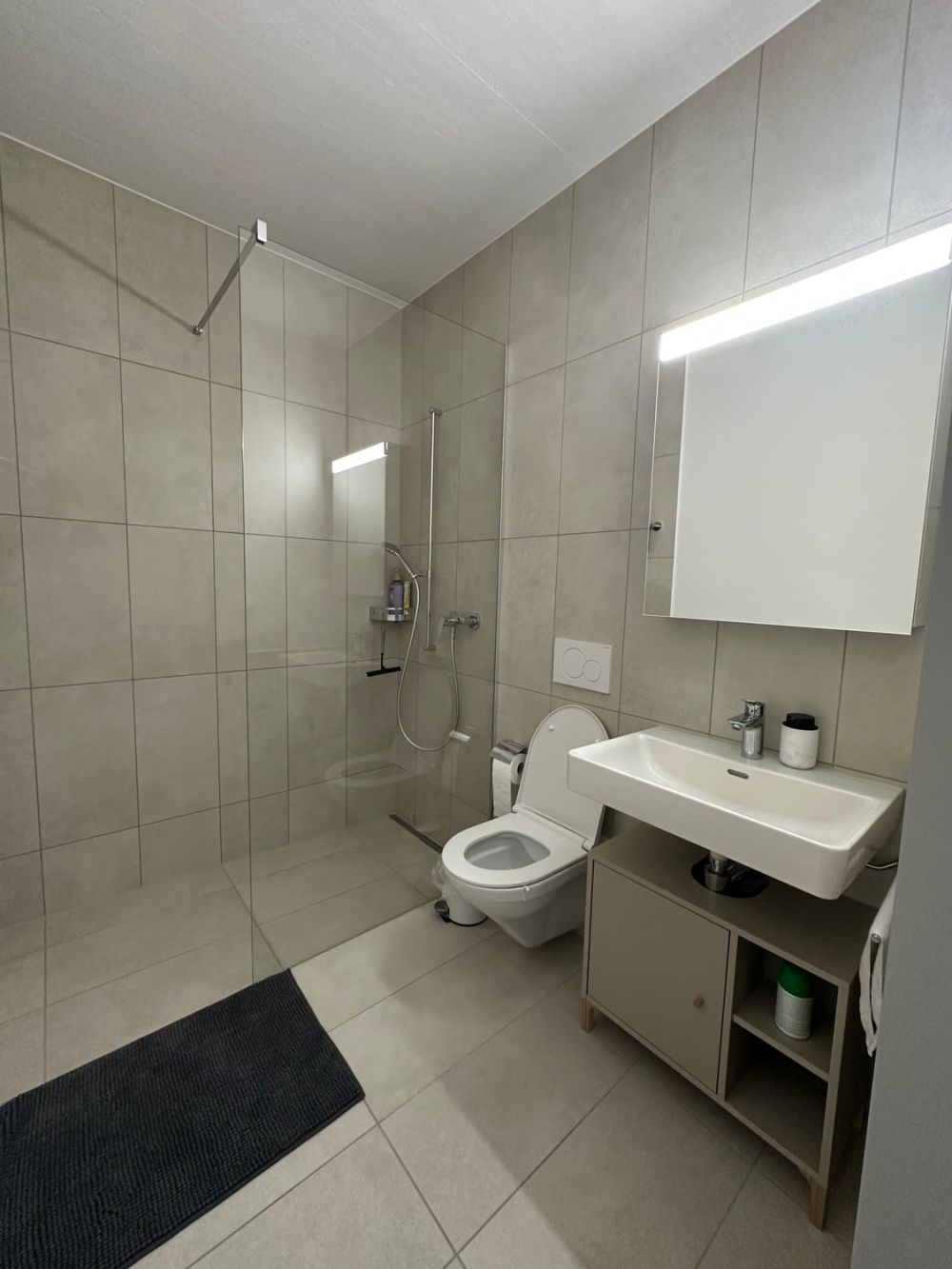 WG-Zimmer in Winterthur - Bild 3