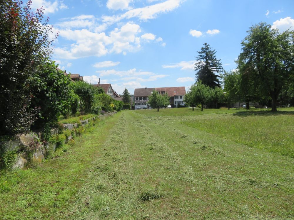 Neubauprojekt - Sechs Familienhäuser in Windlach ZH - Bild 4