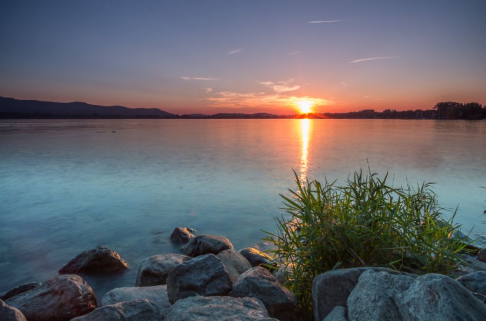 Logenplatz am Bodensee - volle Seesicht - Garten und Terrasse - Bild 9