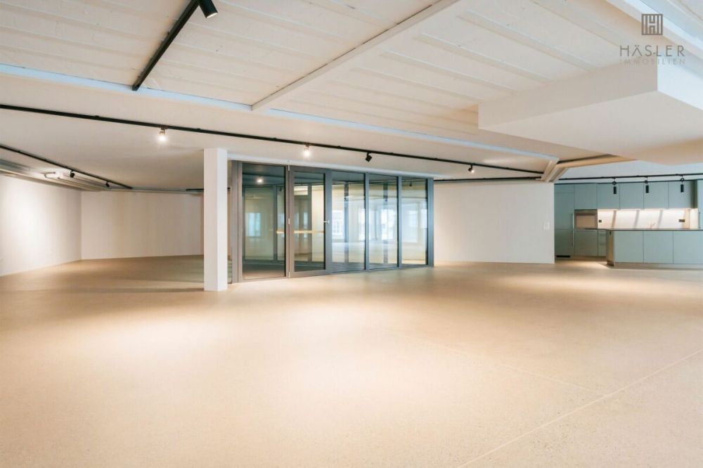Loft-Wohnung / Atelier / Büro sowie ein Studio an der Aare Thun - Bild 7