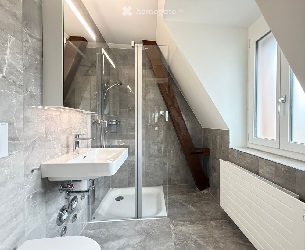 Neu renovierte, sehr gemütliche Dach-Wohnung in Zürich-West - Bild 2