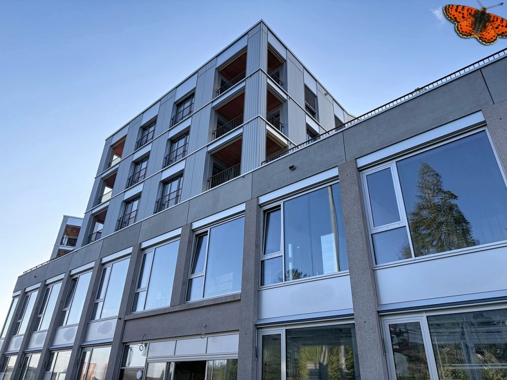 3½ PIÈCES - Neuf avec un balcon - Immeuble