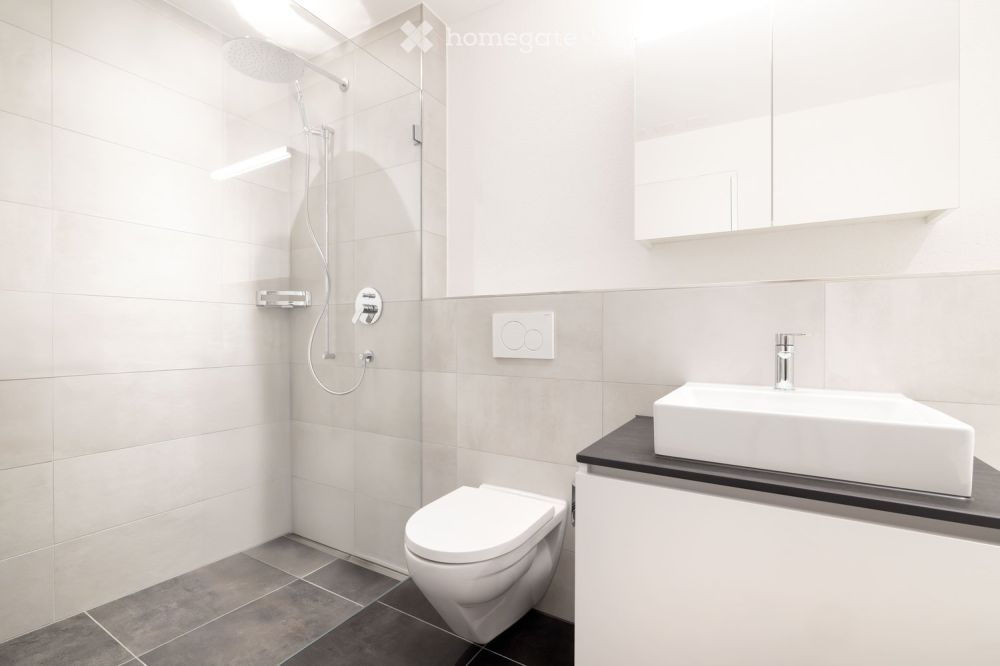 Erstvermietung: Grosse 2.5-Zimmer-Neubauwohnung im Grünen - Bild 4