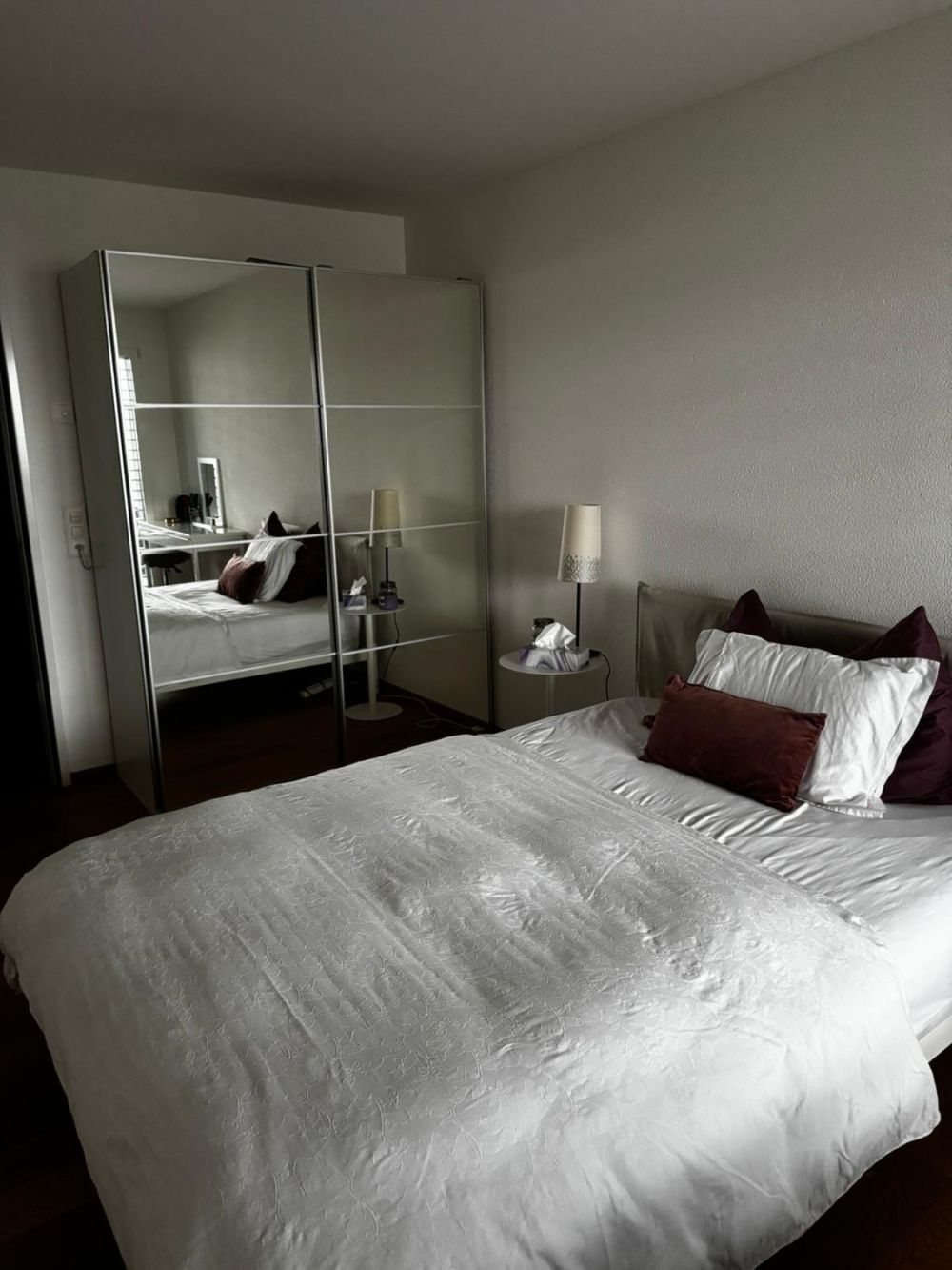 Modernes 1 Zimmer mit Balkon in Apartment in Wollerau - Bild 4