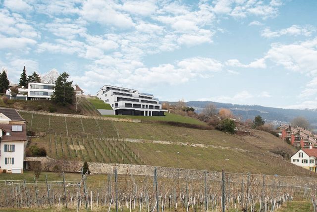 Les terrasses de Sachet, villas de 5.5 pièces à Cortaillod - Bild 4