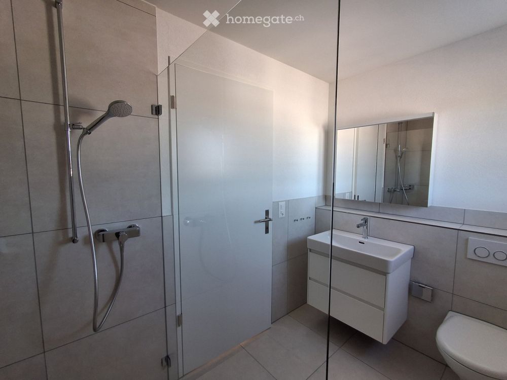 Erstvermietung 4.5-Attika-Zimmer-Wohnung in Breitenbachstrasse 62a, Büsserach - Bild 6