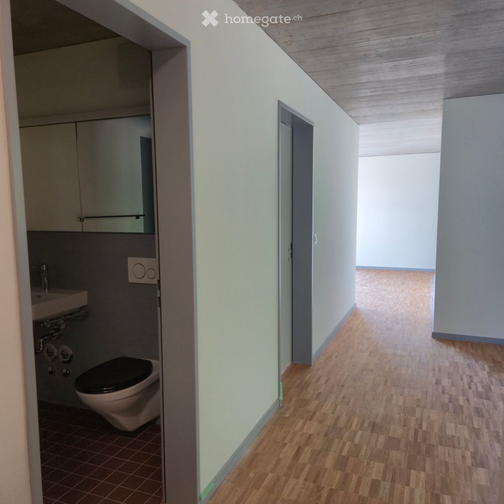 Erstvermietung - moderne 3.5-Zimmer-Attikawohnung mit traumhafter Aussicht - Bild 5