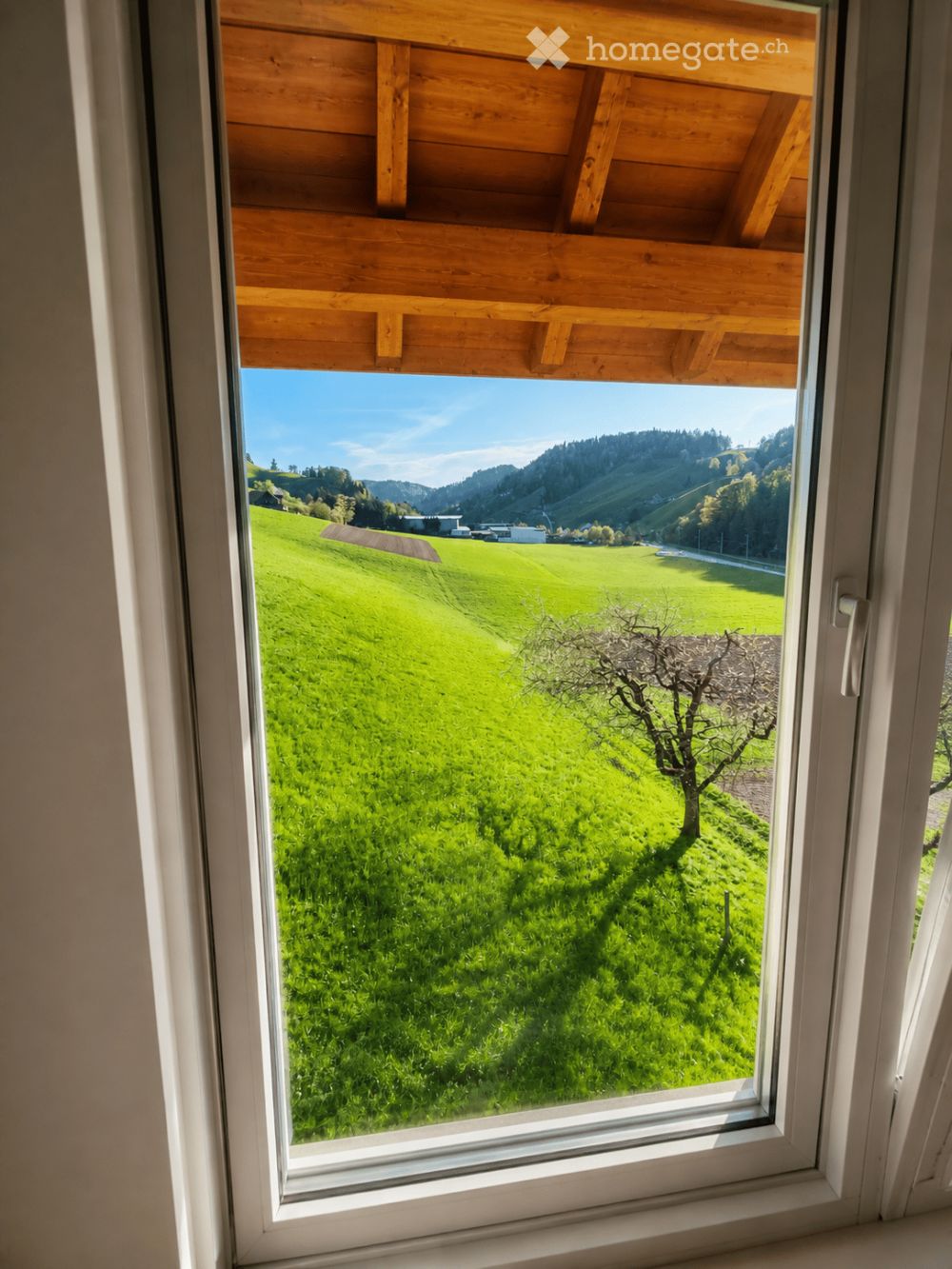 Erstbezug nach Totalsanierung: Moderne 2.5-Zimmer-Wohnung mit Gartensitzplatz - Bild 4