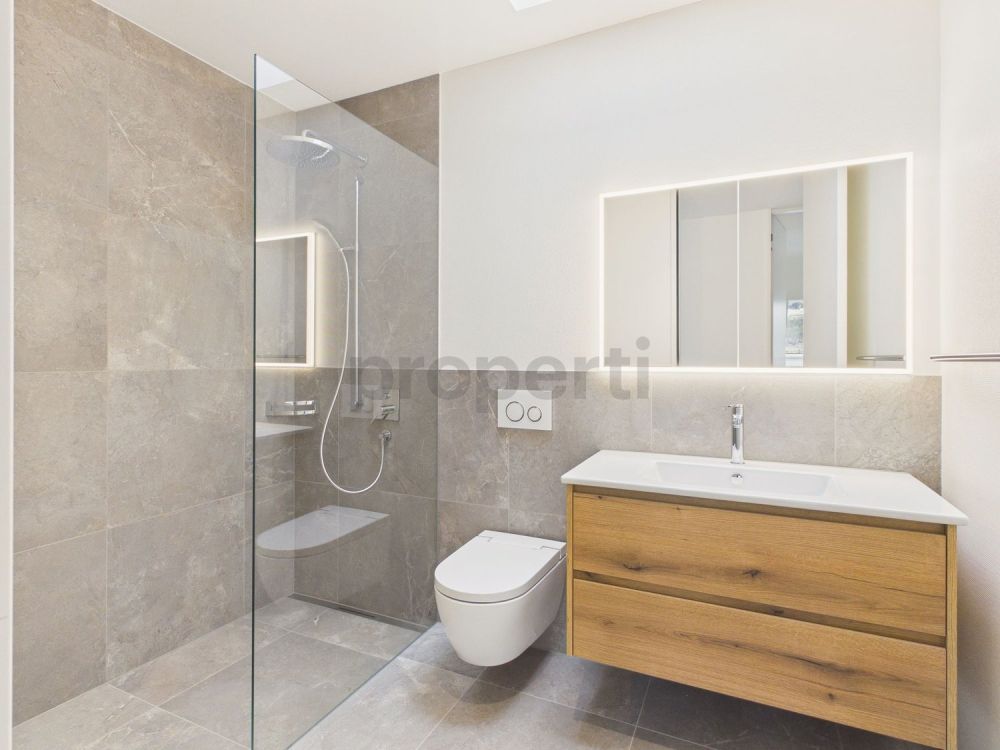 Moderne 4.5-Zimmer-Attikawohnung mit Balkon, Brunnen - Image 10