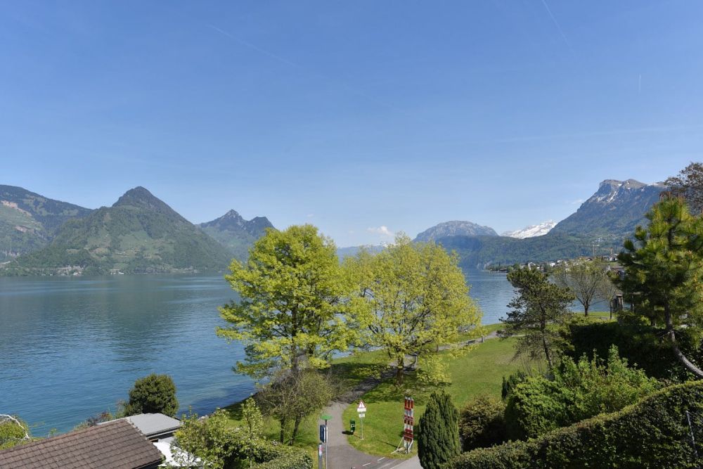 Erstvermietung - Exklusive 4.5-Zimmerwohnung am See in Buochs - Aussicht