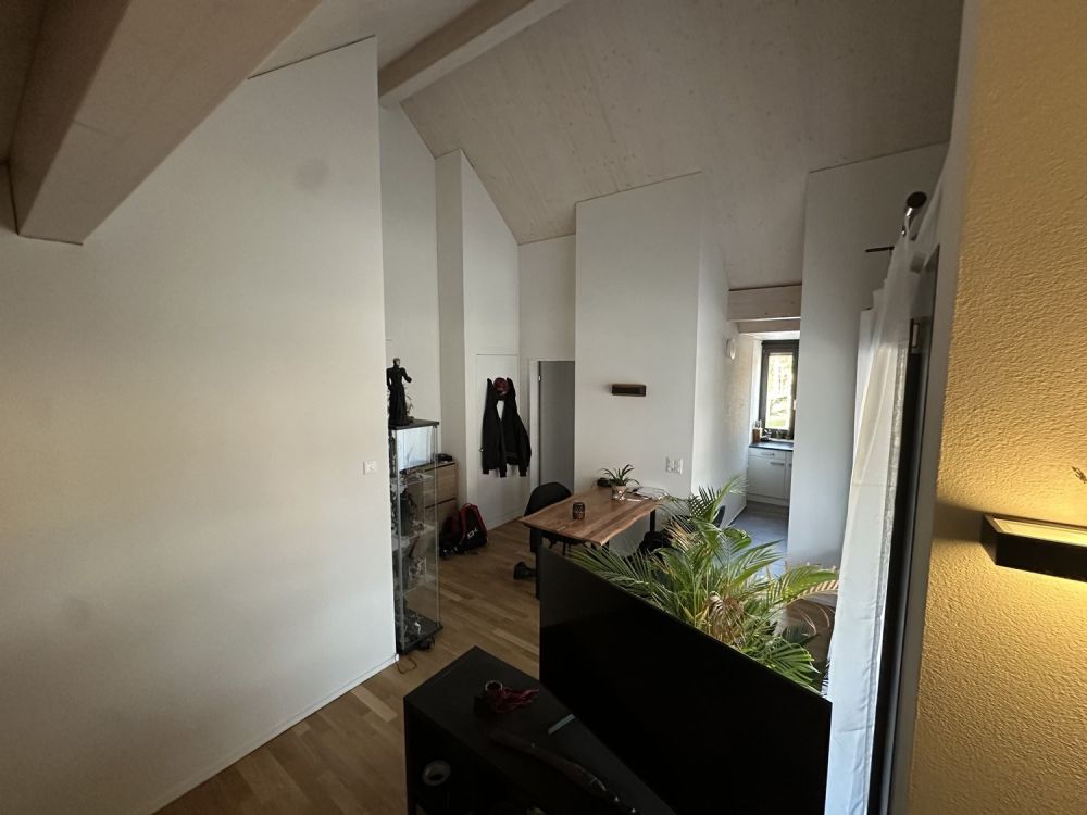 2 ½-Zimmerwohnung direkt am Bahnhof Rüti - Korridor