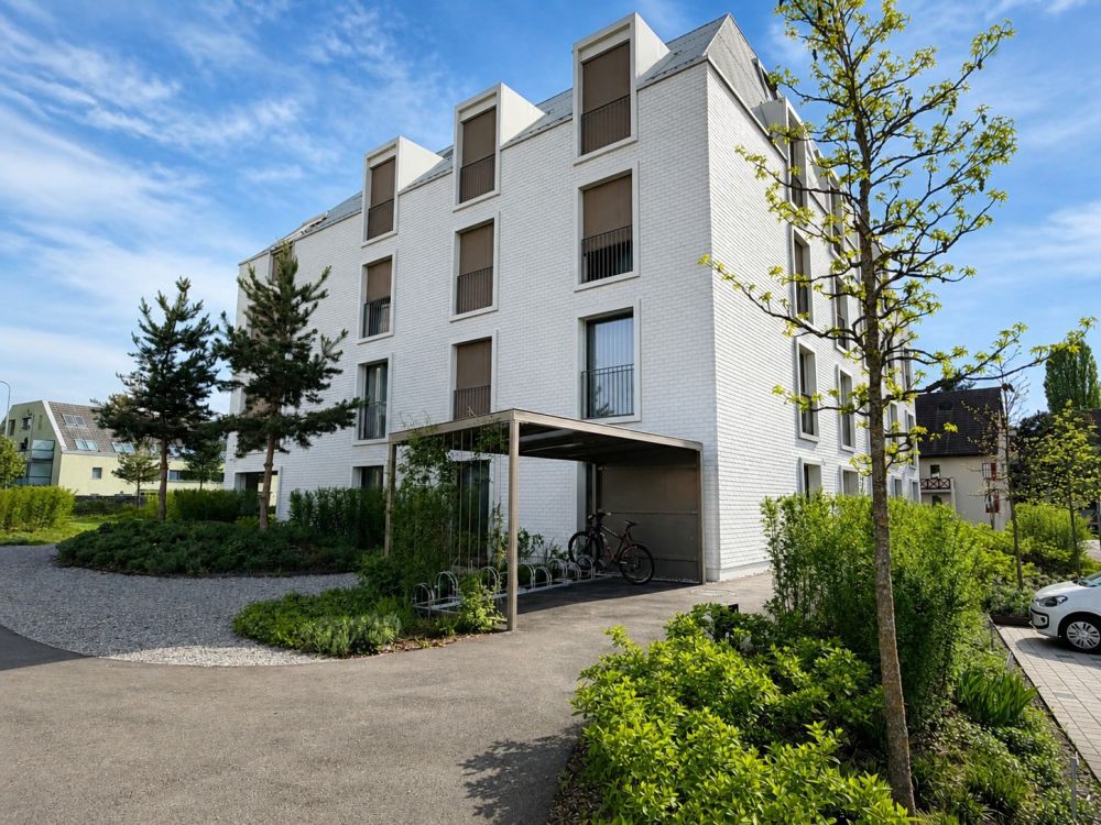 Moderner Innenausbau und grosse Dachterrasse - Aussenansicht