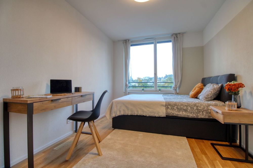 Bright & Cozy Single Room in a Flat Share – Crissier - Bild 1