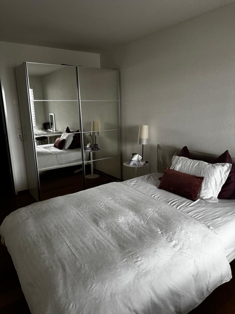 Modernes 1 Zimmer mit Balkon in Apartment in Wollerau - Bild 2