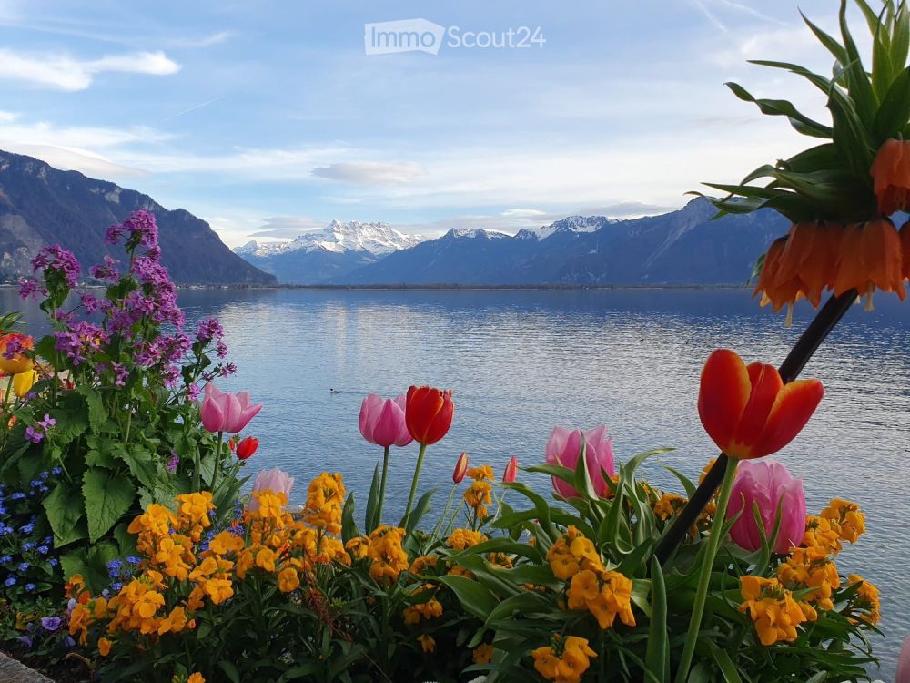 PREMIÈRE LOCATION | Splendide appartement neuf 2.5 pièces | Montreux Centre - Bild 6