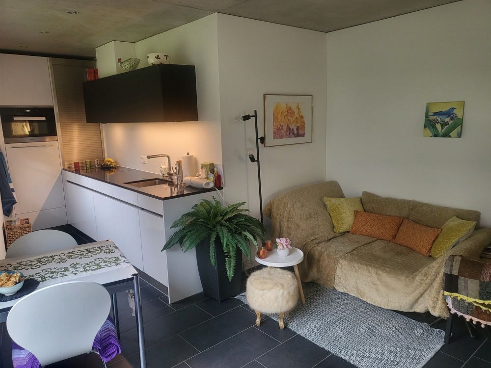 Neubau Gartenwohnung direkt am Waldrand in Zollikerberg - Bild 2