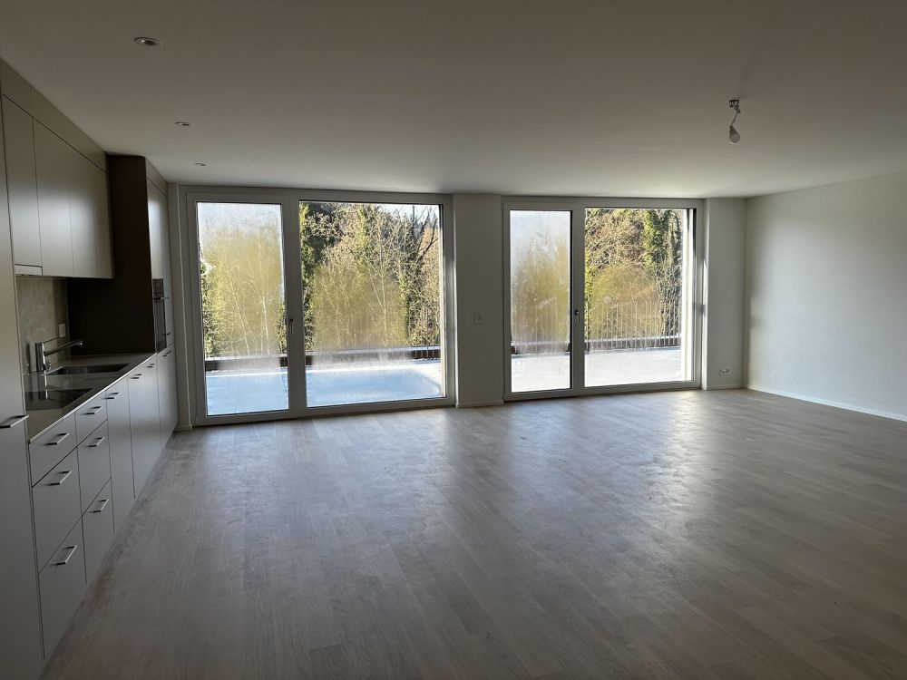 Erstvermietung - traumhafte 5.5-Zimmer-Attikawohnung mit grosser Terrasse und Blick ins Grüne - Bild 4