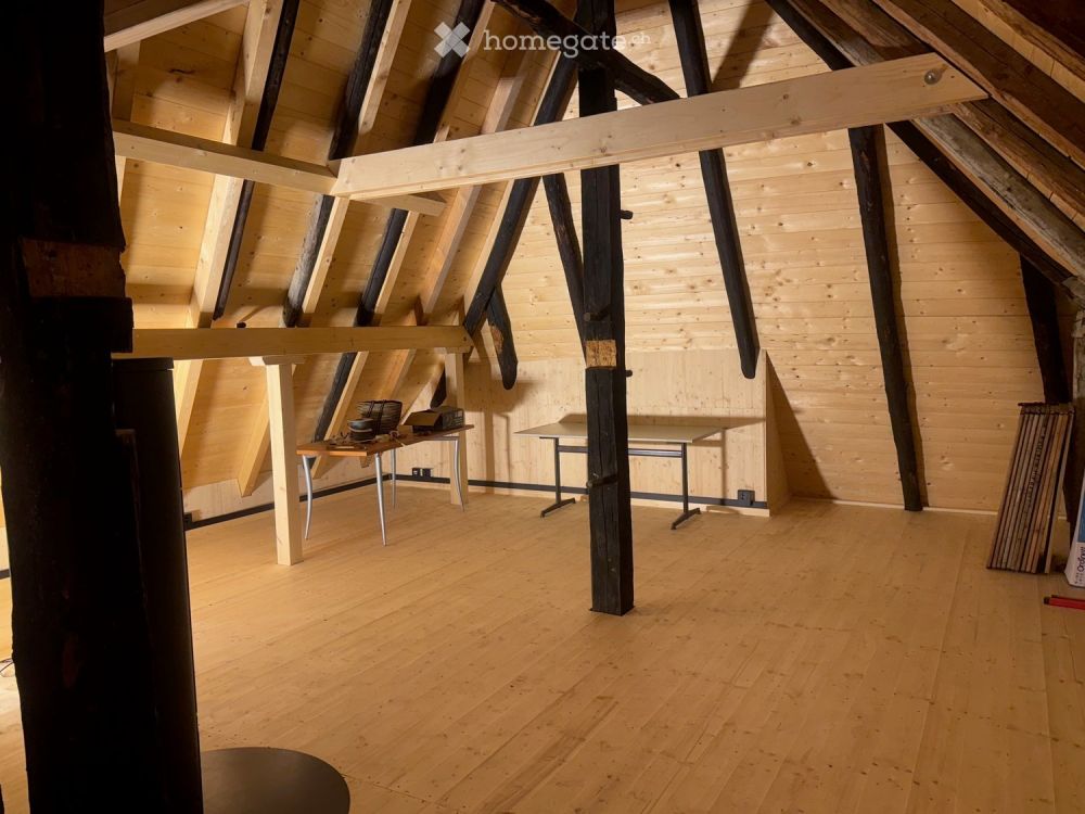 Einfamilienhaus, Alt&Neu, baubiologisch, mit toller Seesicht in Birrwil - Bild 13