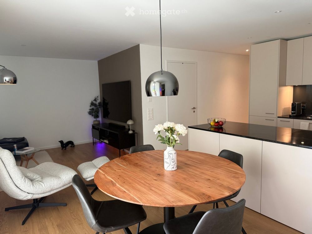 Moderne 4.5-Zimmer-Neubauwohnung im Erdgeschoss in Othmarsingen - Bild 9