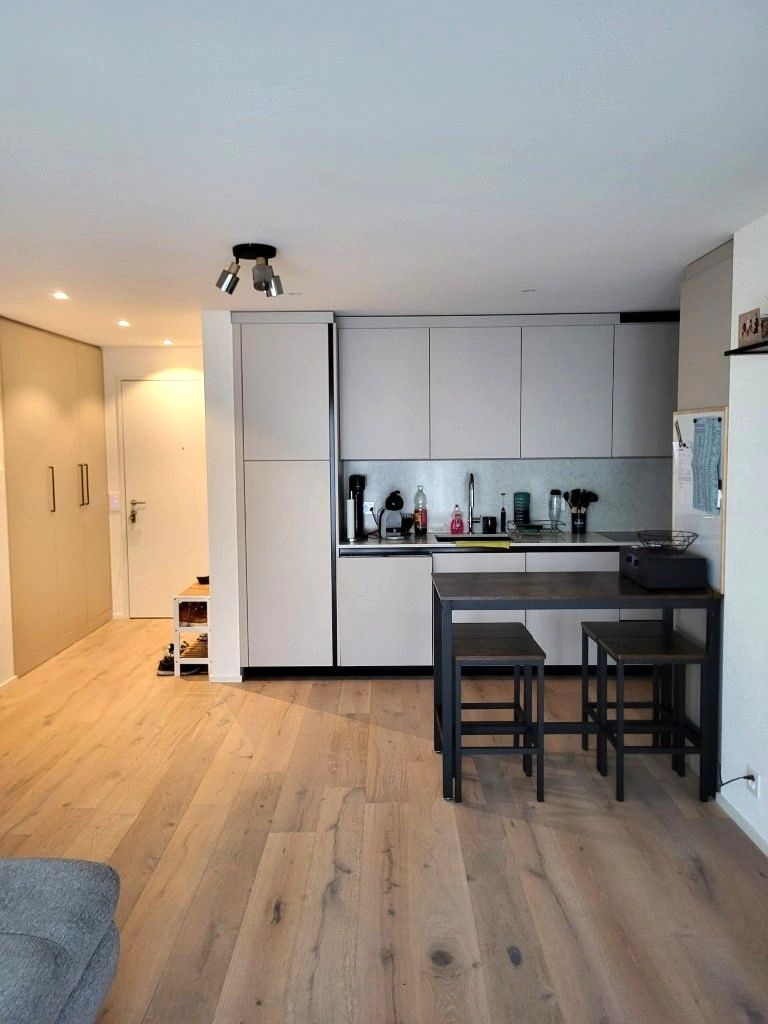 Helle, neue luxuriöse 2½ Zimmer Wohnung (H2) EG mit grossem Sitzplatz - Bild 8
