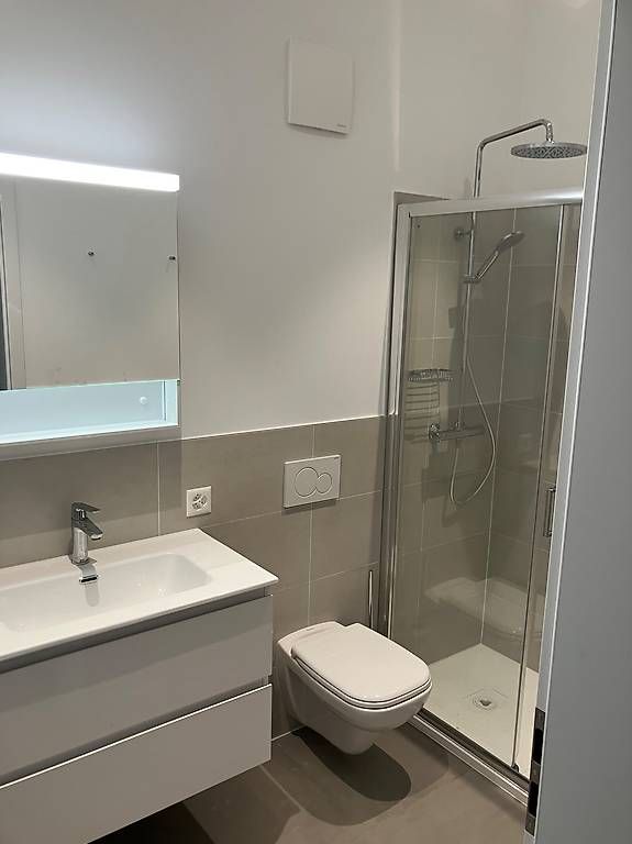 2,5-Zimmer-Appartement, komplett renoviert, Erstvermietung - Bild 2