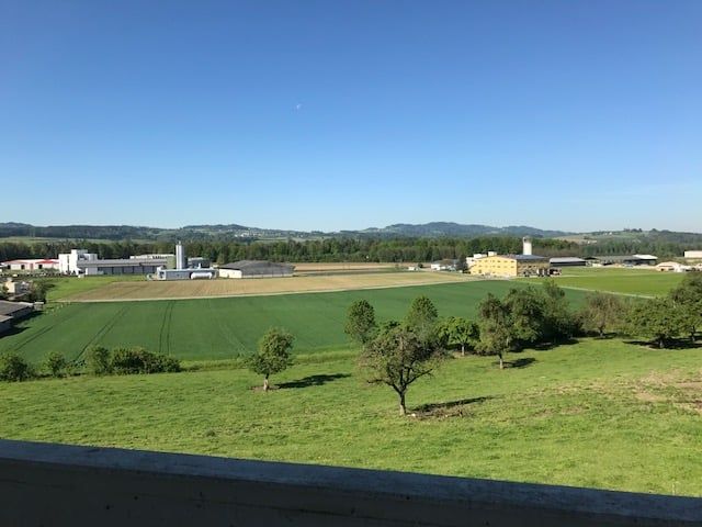 ÜBERBAUUNG BÜEL, "Blick ins Grüne" GROSSE 3,5-ZIMMERW. - Bild 2