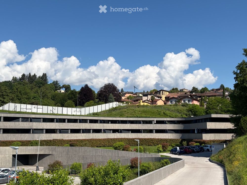 Cerco subentrante per appartamento a Lugano - Bild 1