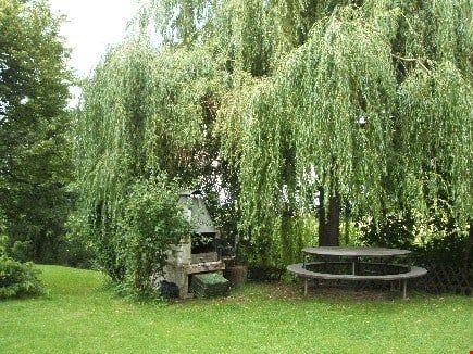 Modernisierte 41/2 Zimmer-Wohnung in total saniertem Mehrfamilienhaus - Bild 4