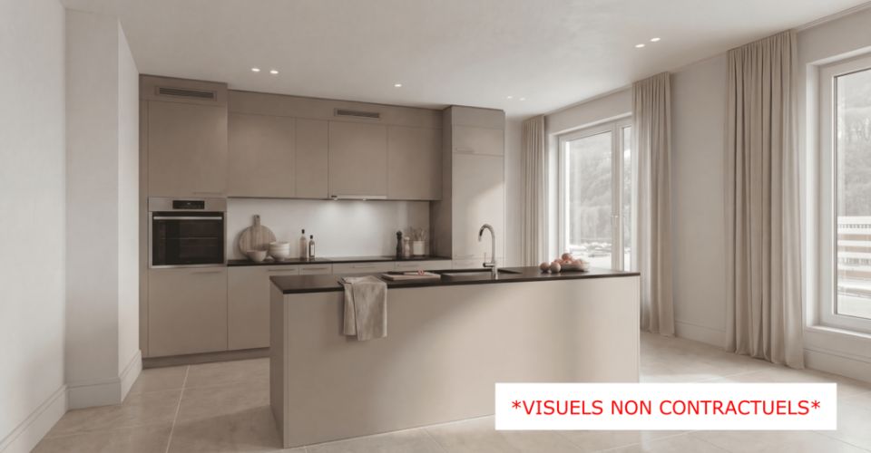 À louer - Appartements neufs de 4.5 pièces avec terrasse plein sud - Appartement 4.5 pièces - image - 5
