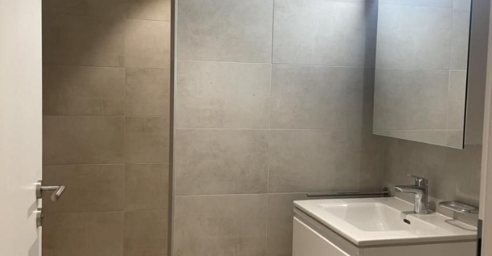 Superbe Appartement 4.5 pièces dans le Quartier Arbora, Crissier - Appartement 4.5 pièces - image - 5
