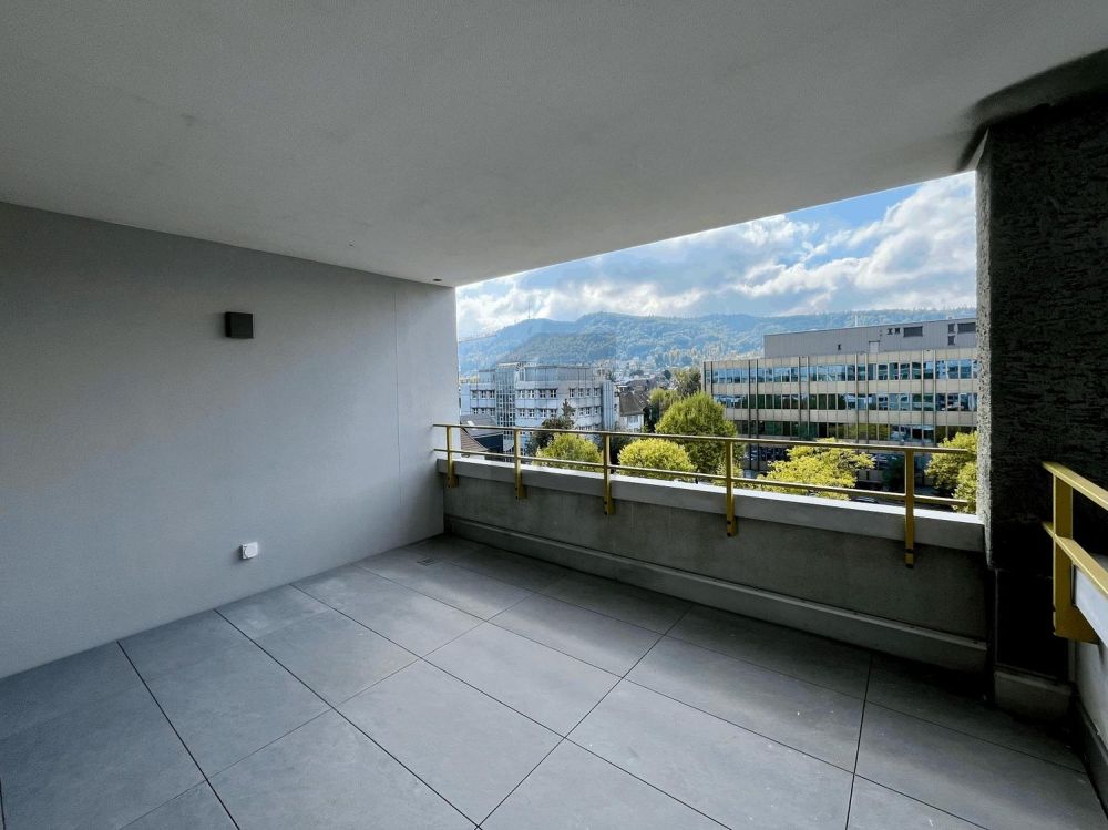 ERSTBEZUG: GROSSER BALKON, SICHT AUF DEN ÜETLIBERG - Bild 1