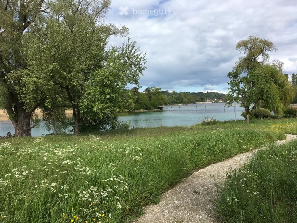 Traumwohnung am See - Bild 1