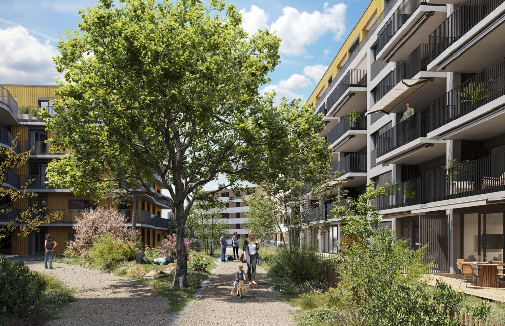 4.5 pièces neuf avec jardin - A19-001 - Bild 7