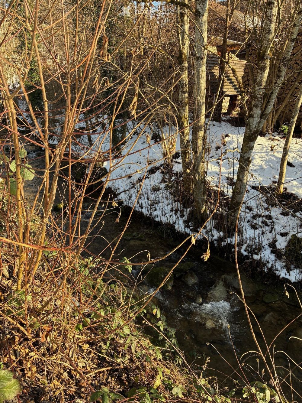 Originelle 2.5-Zimmerwohnung an zentraler Lage in Hinwil - Bild 9