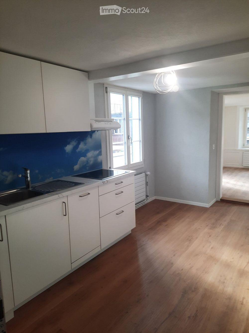 Tiny-Wohnung im Züri Oberland - Bild 1