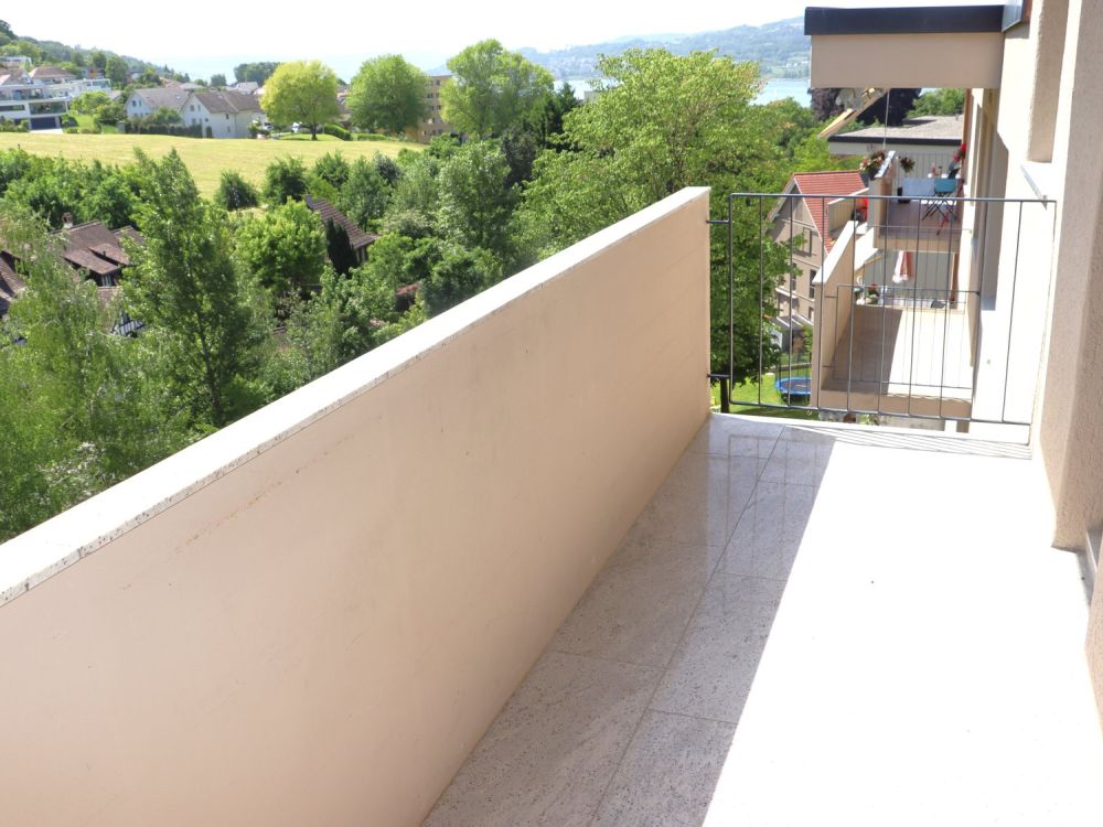 Erstvermietung nach Totalsanierung - grosszügige 3.5 Zi.-Wohnungen mit Balkon - Bild 11