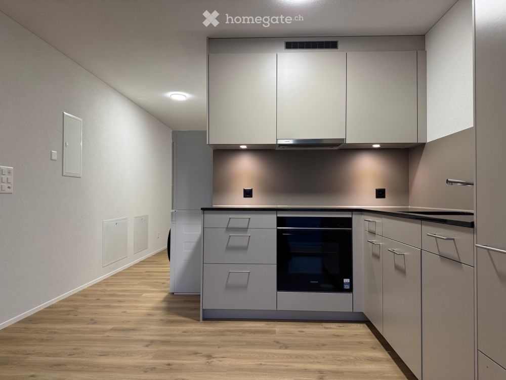 Neue 1.5 Zi Einlegerwohnung - Bild 1