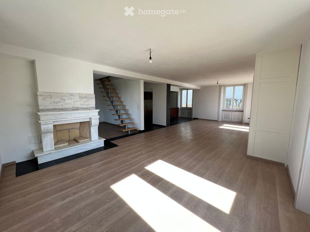 Wohnung in freistehender Jugendstilvilla mit Charakter – 5.5 Zimmer, 160 m², Garten - Bild 1