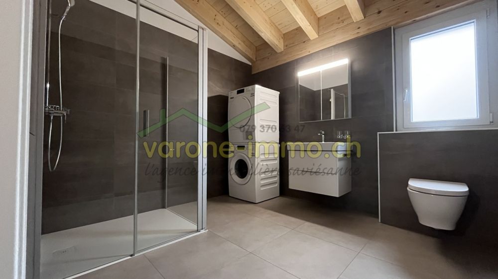 À LOUER à Saint-Germain / Savièse - Studio - WC / Douche de l'appartement témoin