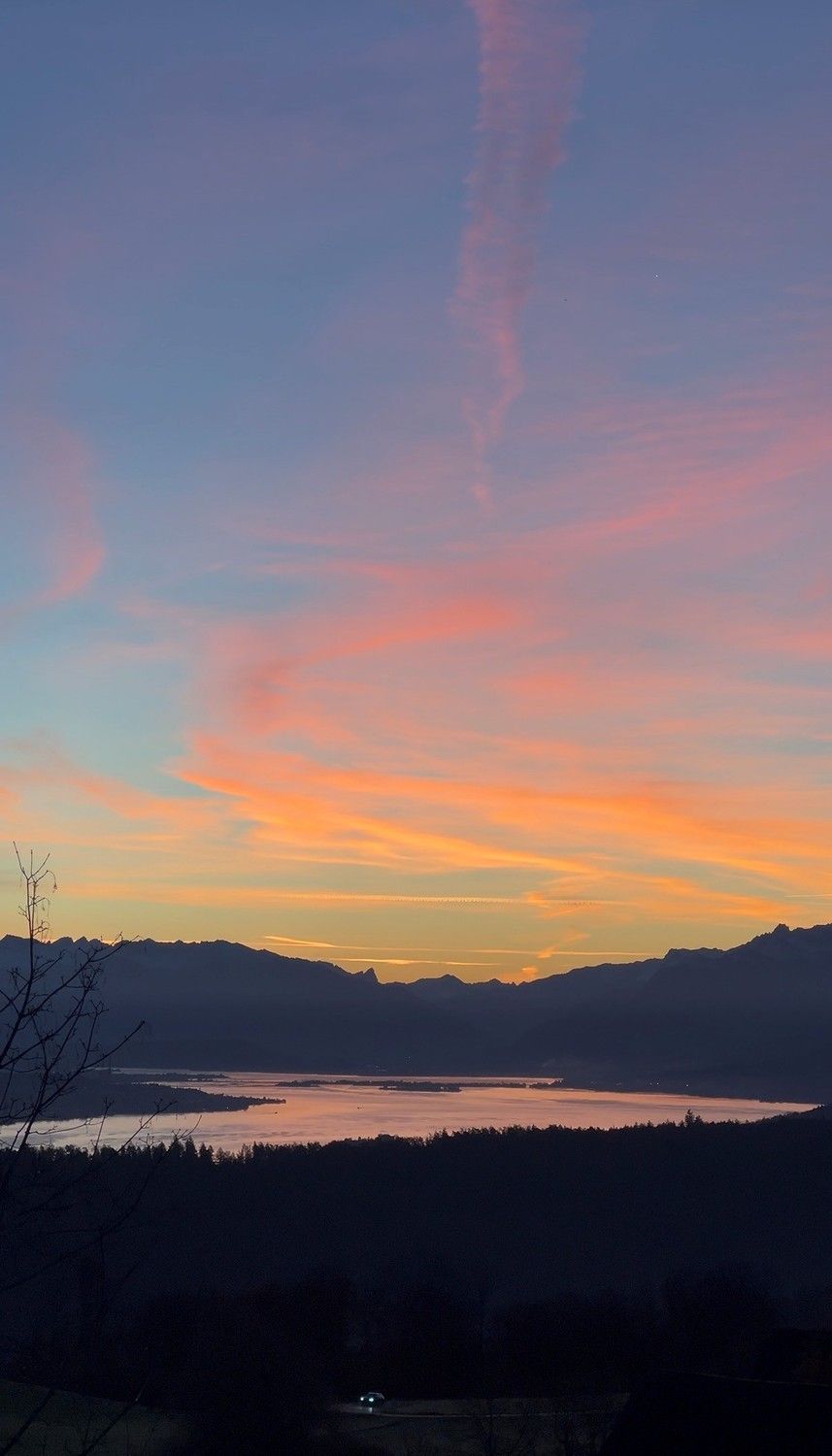 2.5-Zimmer-Tiny-House mit spektakulärer Zürichsee-Aussicht – ca. 20 Min. von Zürich - Bild 3