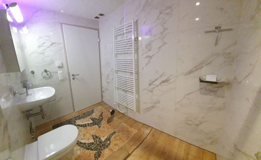 2½- Zimmer- Erdgeschoss Rechts Blau - Bild 12