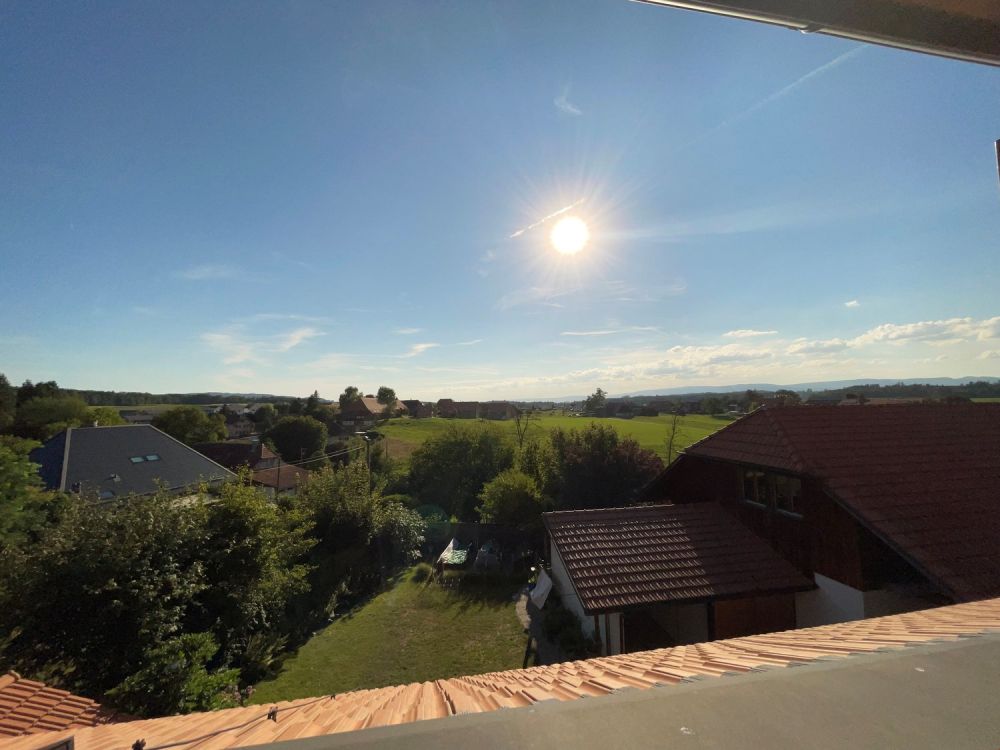 modern und hell: 3.5 Zimmer-Dachwohnung in Rapperswil/BE - Bild 11